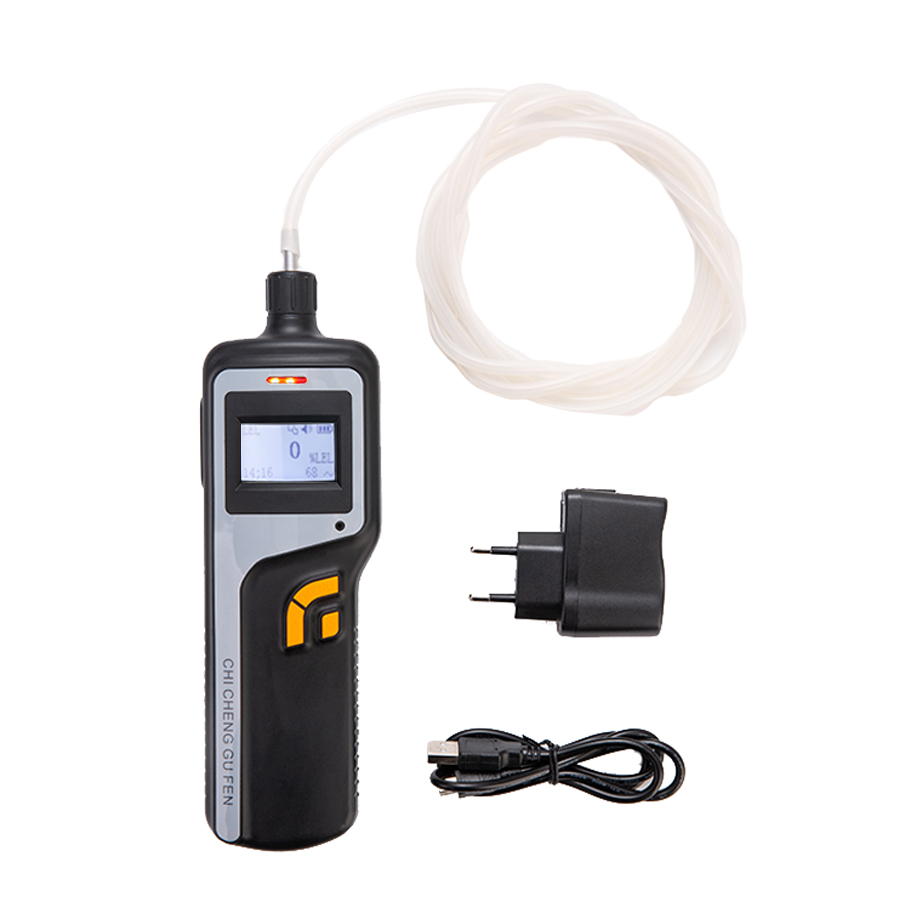 GC510探槍式氣體檢測(cè)儀